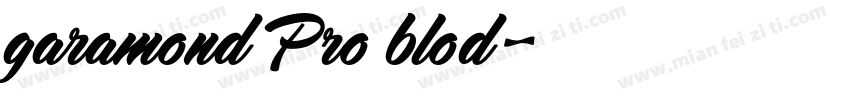 garamond Pro blod字体转换